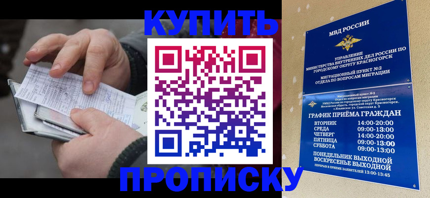 временная регистрация недорого в Светогорске